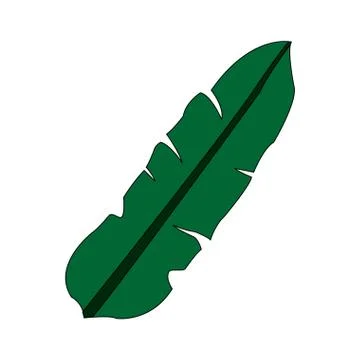 Color image elongated leaf with ramification Stock Illustration