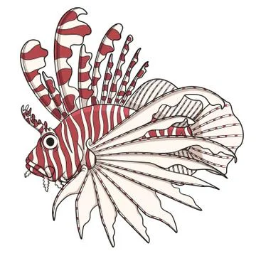 Color image lionfish. Vector objects on a white. Stock Illustration