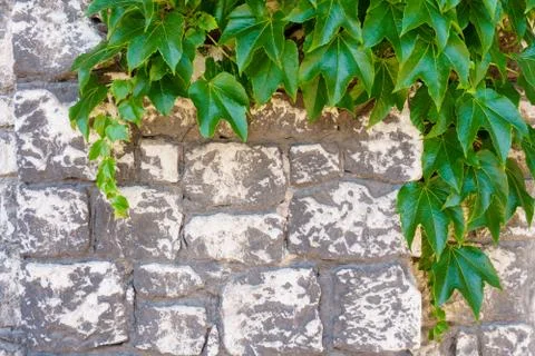 Color image - stone wall texture Stock Photos