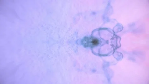 Color ink reflections Stock Footage 75395793