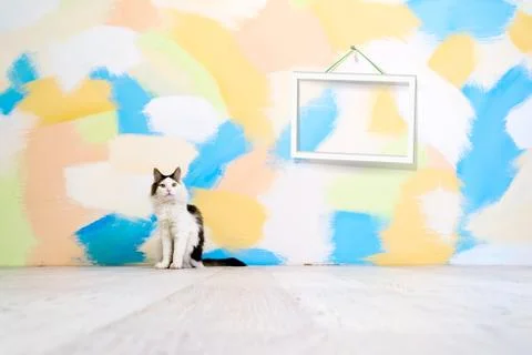 Color interior Foto stock