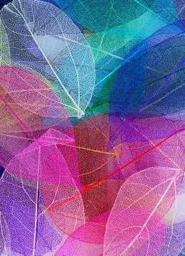 Color leaves on a table Stock Photos