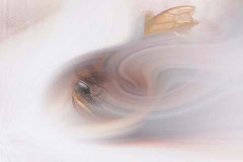 Color manipulation image. 库存插图