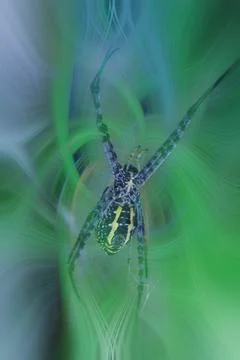 Color manipulation image. 库存插图