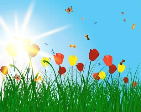 Color meadow Stock Illustration