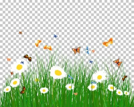 Color meadow Stock Illustration
