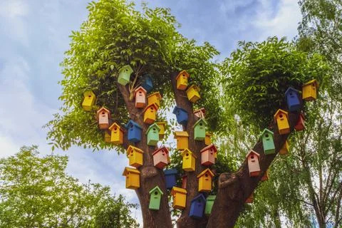 Color nesting boxes on a tree. colored nesting boxes. A lot of colorful birdh Foto stock