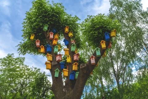 Color nesting boxes on a tree. colored nesting boxes. A lot of colorful bir.. Stock Photos