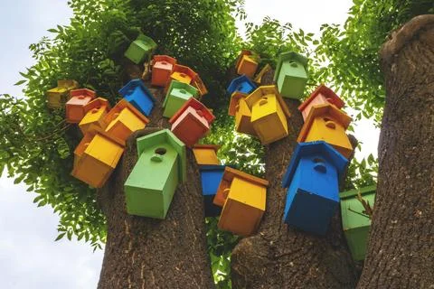 Color nesting boxes on a tree. colored nesting boxes. A lot of colorful bir.. Stock Photos