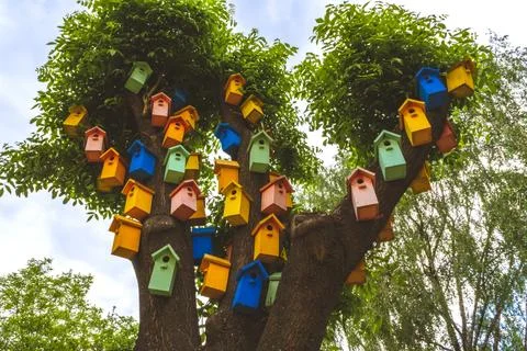 Color nesting boxes on a tree. colored nesting boxes. A lot of colorful bir.. Stock Photos
