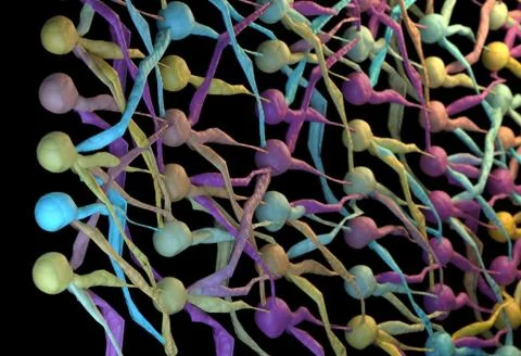 Color neuron network, neuronal net. 3D Illustration Stock Illustration