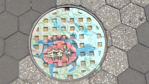 Color Painted Sewage Drain - Turtle Stock Footage 137768369