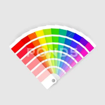 Color palette guide on transparent background Illustration #145162552