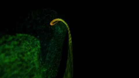 Color Particles 1 Vídeo Stock 11235059