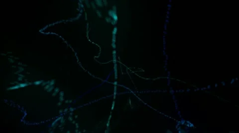 Color Particles 3 Stock-Footage 11235064