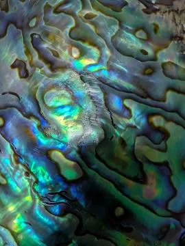 Color pearl shell texture Foto stock