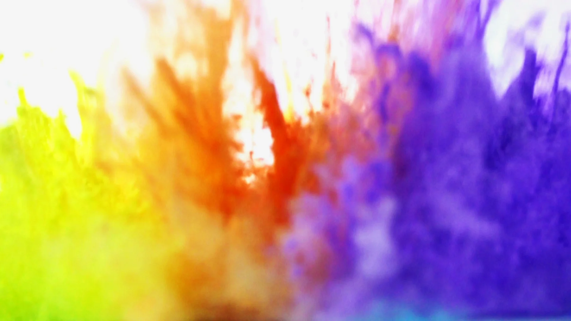 Color powder explosion in slow motion
