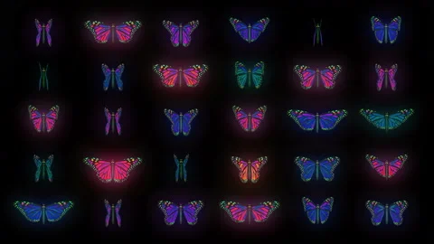 Color Psychedelic Butterfly PSY random fly insects collection light pattern Stock Footage 124986729