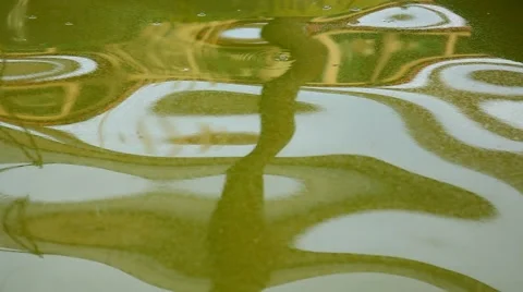 Color reflection in the water Stock Footage 41259606
