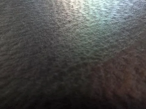 Color reflections on the leather surface Stock Photos
