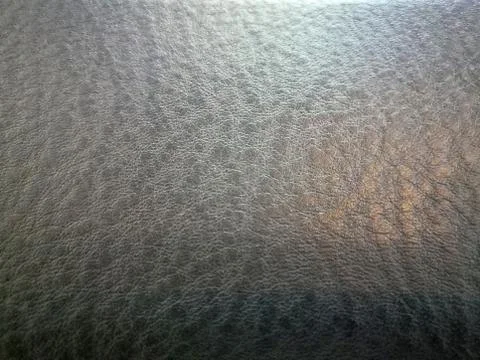 Color reflections on the leather surface Stock Photos