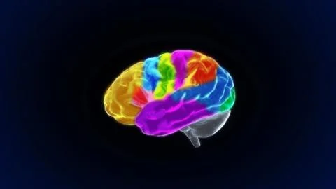 Color sections crystal brain still render Stock Illustration