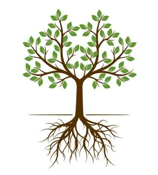 Color shape of Tree with Roots. Vector Illustration. Stock Illustration