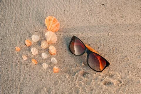 Color Shells on sandy beach with yellow sunglasses Stock Photos
