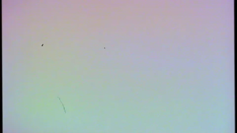 Color Shift VHS Defects, Artifacts, Noise, Film dust, and Hair. Flickering Stock Footage 155627586