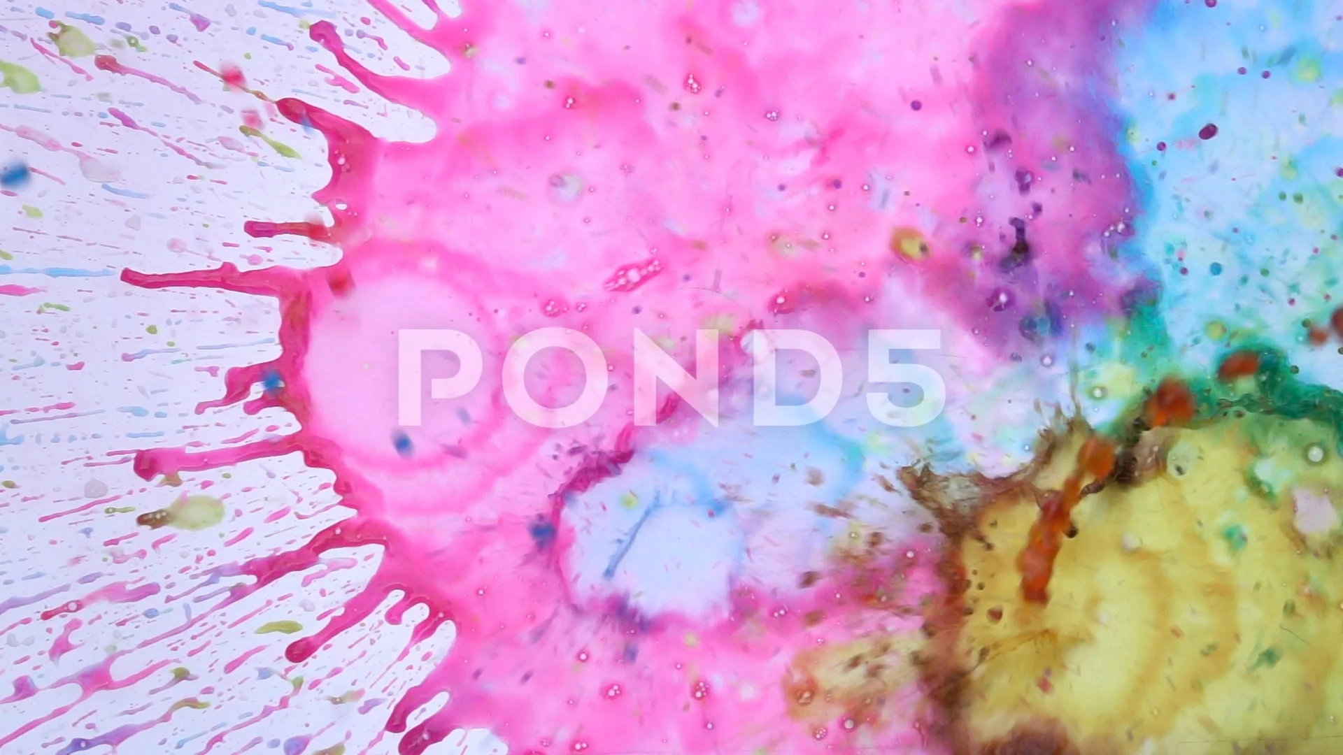 Red Color Splash Stock Footage ~ Royalty Free Stock Videos | Pond5