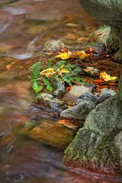 Color of stream in autumn Stock Photos