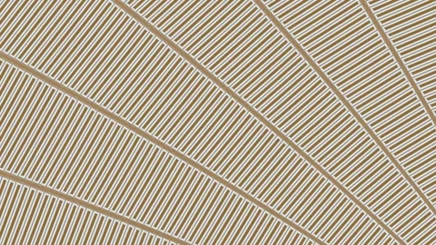 Color stripes. Видео 297297181
