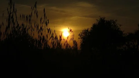 Color of the sunset Stock Footage 108650090
