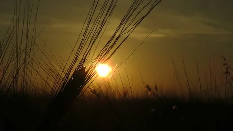 Color of the sunset Stock Footage 111504477