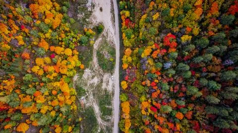 Color variety of nature from a bird's eye view. Stock Photos