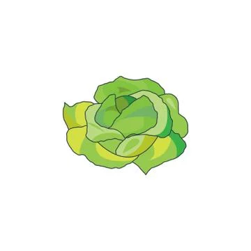 Color vector illustration. Cabbage icon on a white background Stock Illustration