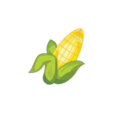 Color vector illustration. Corn on a white background Stock Illustration