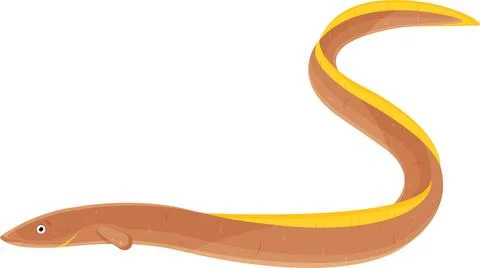 Color vector illustration of eel fish, proper nutrition, seafood, seafood d.. Stock Illustration