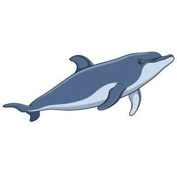 Color vector image of a dolphin. Isolated object. Stock Illustration