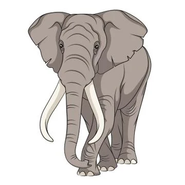 Color vector image of an elephant. Stock Illustration