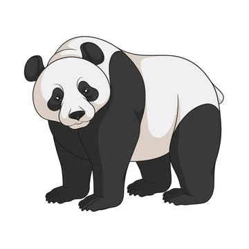 Color vector image of a panda. Isolated object. Stock Illustration