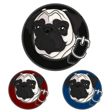 Color vector image of a pug wearing a collar. Stock Illustration