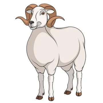 Color vector image of a ram. Object on a white. Stock Illustration