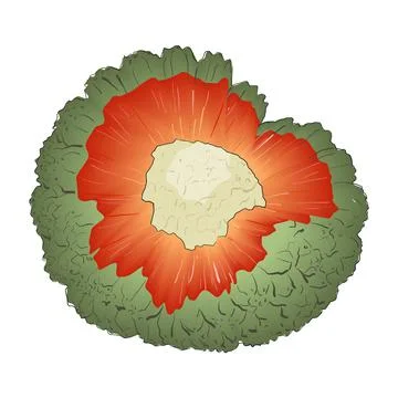 Color vector sketch of a Pandanus the core of a tropical fruit Stock Illustration