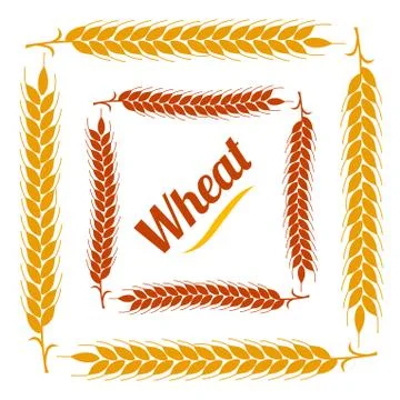 Color vegetable square frame. border of  gold ears of wheat on w Stock Illustration