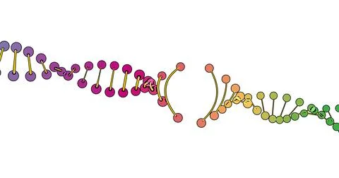 Color visualization of DNA analysis isolated on white background 3d rotation  Illustrazione stock