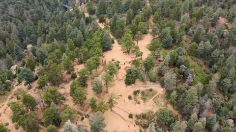 Colorado 3000steps Stock Footage 194715555