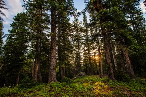 Colorado Alpine Sunset Timelapse Stock Footage 65530334