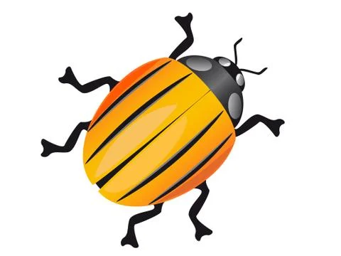Colorado beetle Stock Illustration