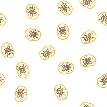 Colorado beetle vector seamless pattern Stock Illustration
